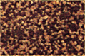 Grava ocre