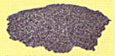 Balasto
