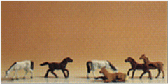 Caballos