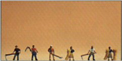 Campesinos