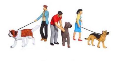 Paseando al perro