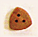 Vigota triangular