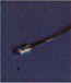 Lampara
