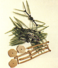 Palmera