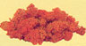 Musgo Islamond 60gr