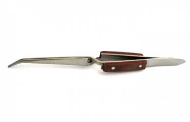 Pinza