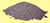 Balasto