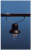 Farol