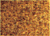 Cesped