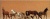 Caballos