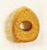 Vigota ciega