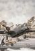 TRUMPETER WELLINGTON Mk1C 1/48