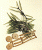 Palmera