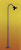 Torre