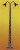 Torre