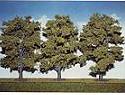 Naturaleza Vegetal