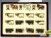 Set de toros y mayorales